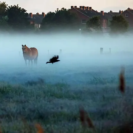 South Modern Retreat * Borkum