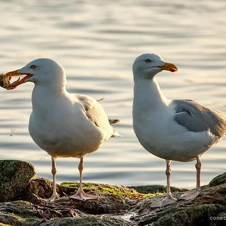 Casa vacanze South Modern Retreat Borkum