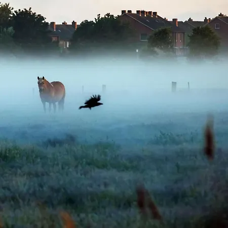 Casa vacanze South Modern Retreat