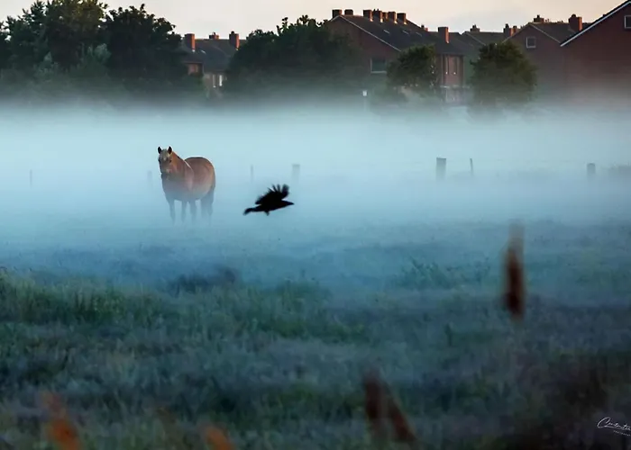 Дом отдыха South Modern Retreat